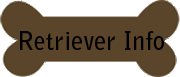 Labrador Retrievers Information