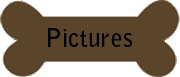 Pictures